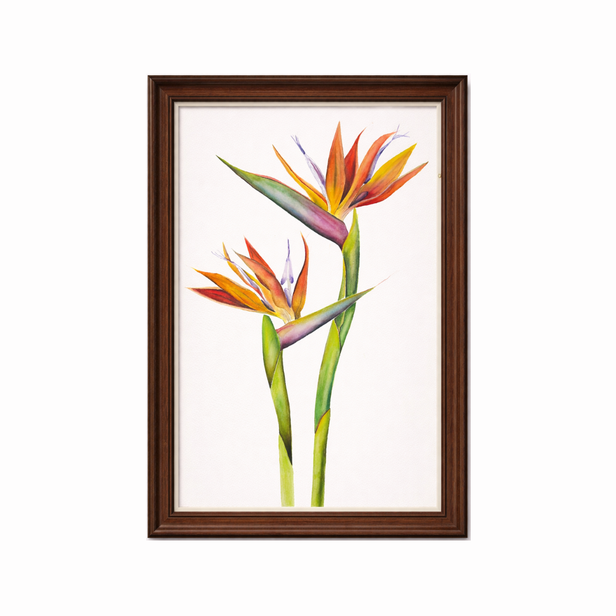 Botanical wall art with colorful tropical flowers on white background in wood frame
