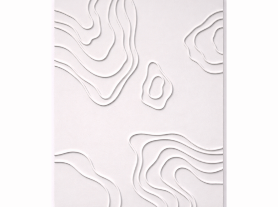 Textured white wall art with raised contour line patterns in minimalist acrylic design