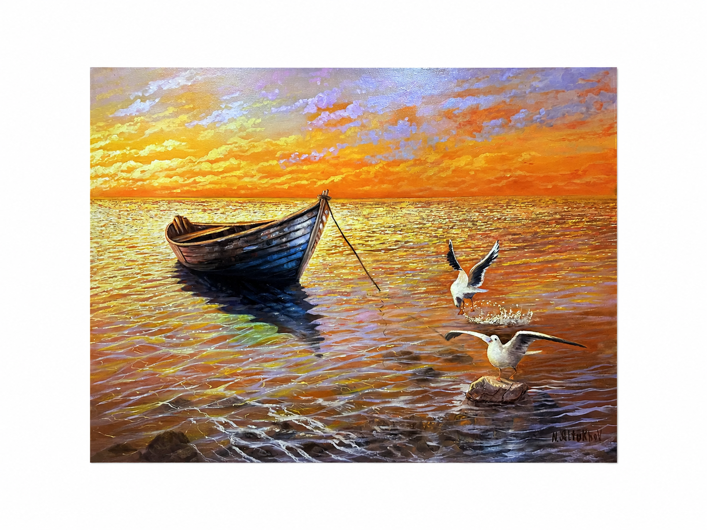 Harbor of Light