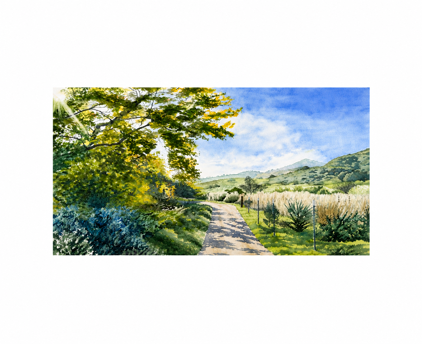 The Path Ahead