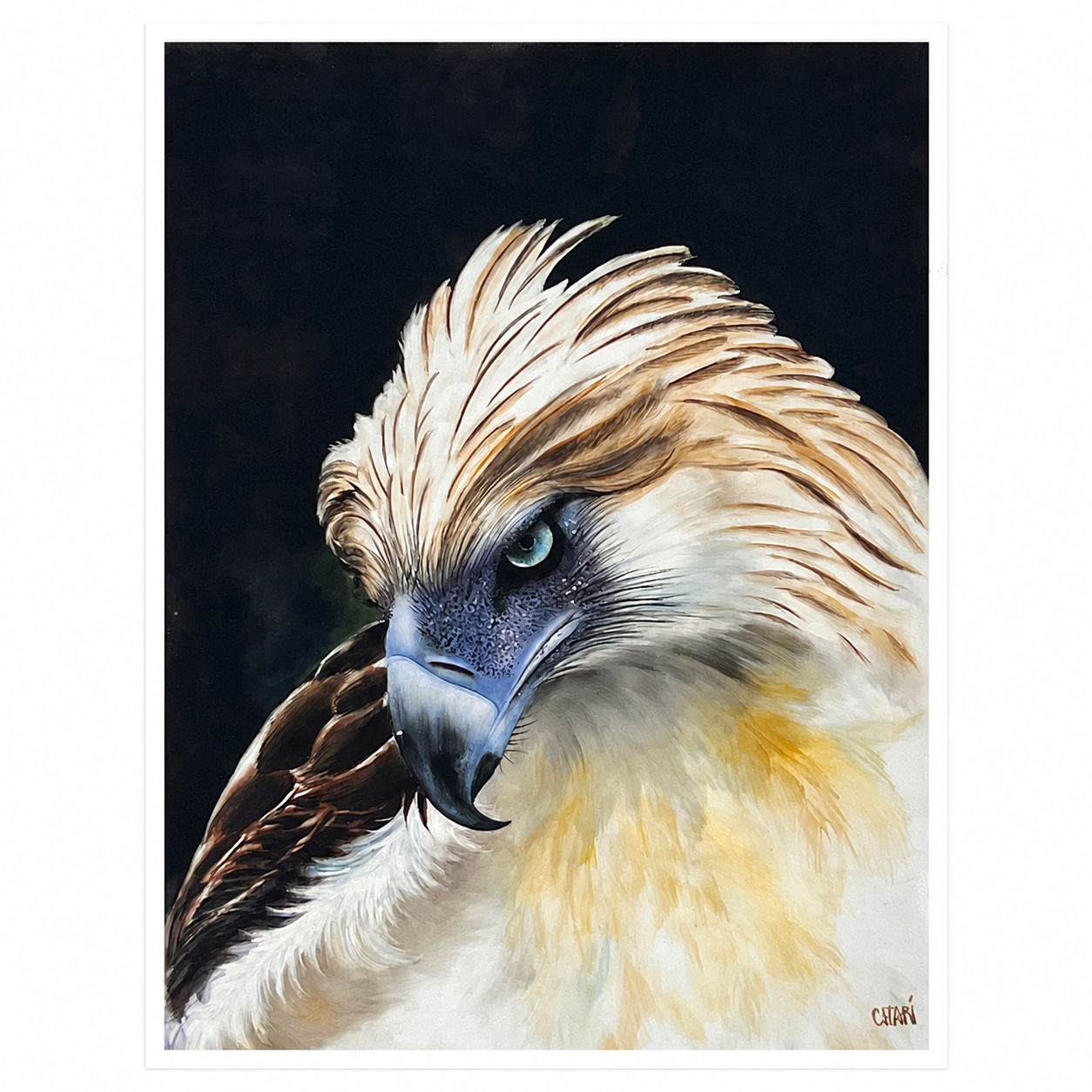 Philippine Eagle