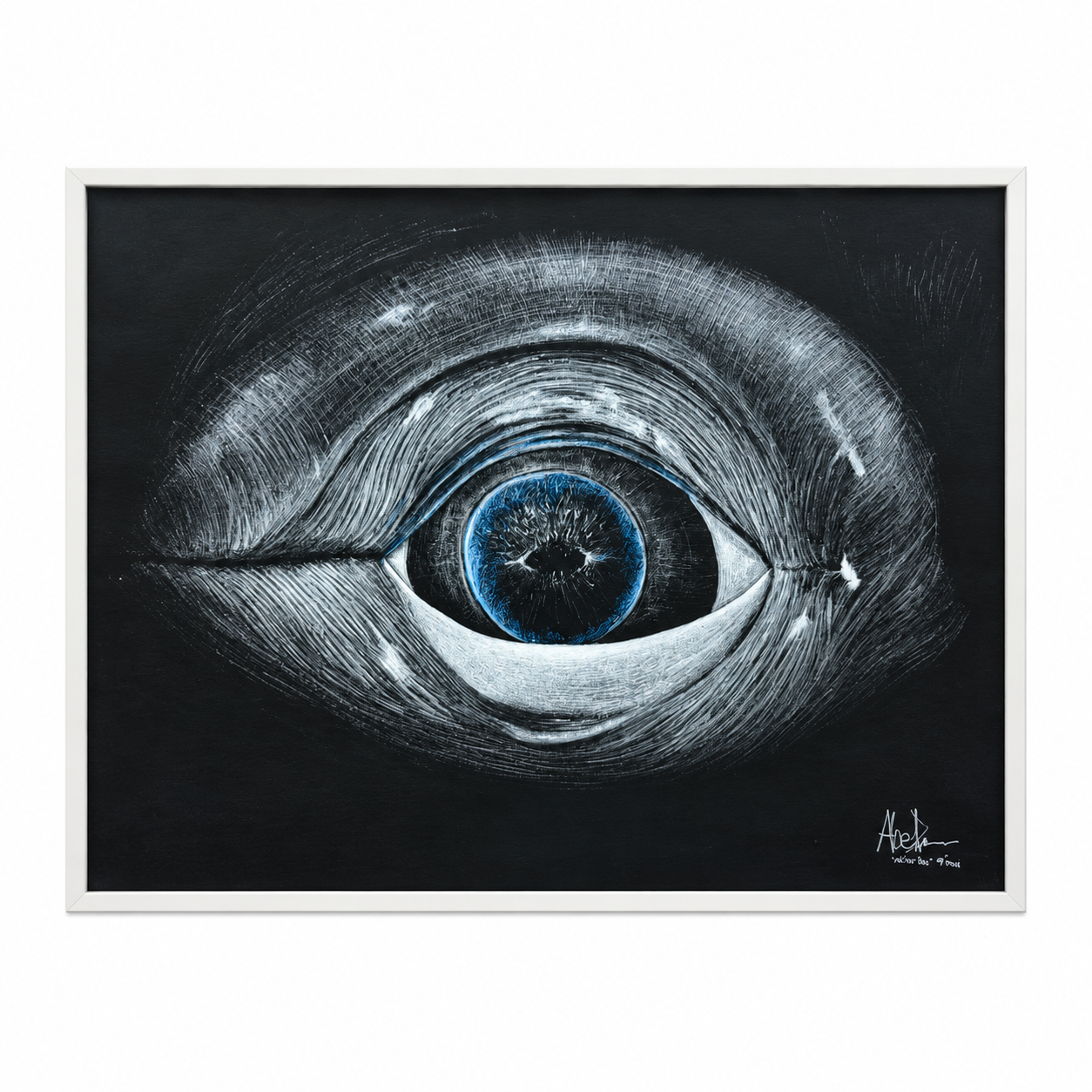 Whale's Eye