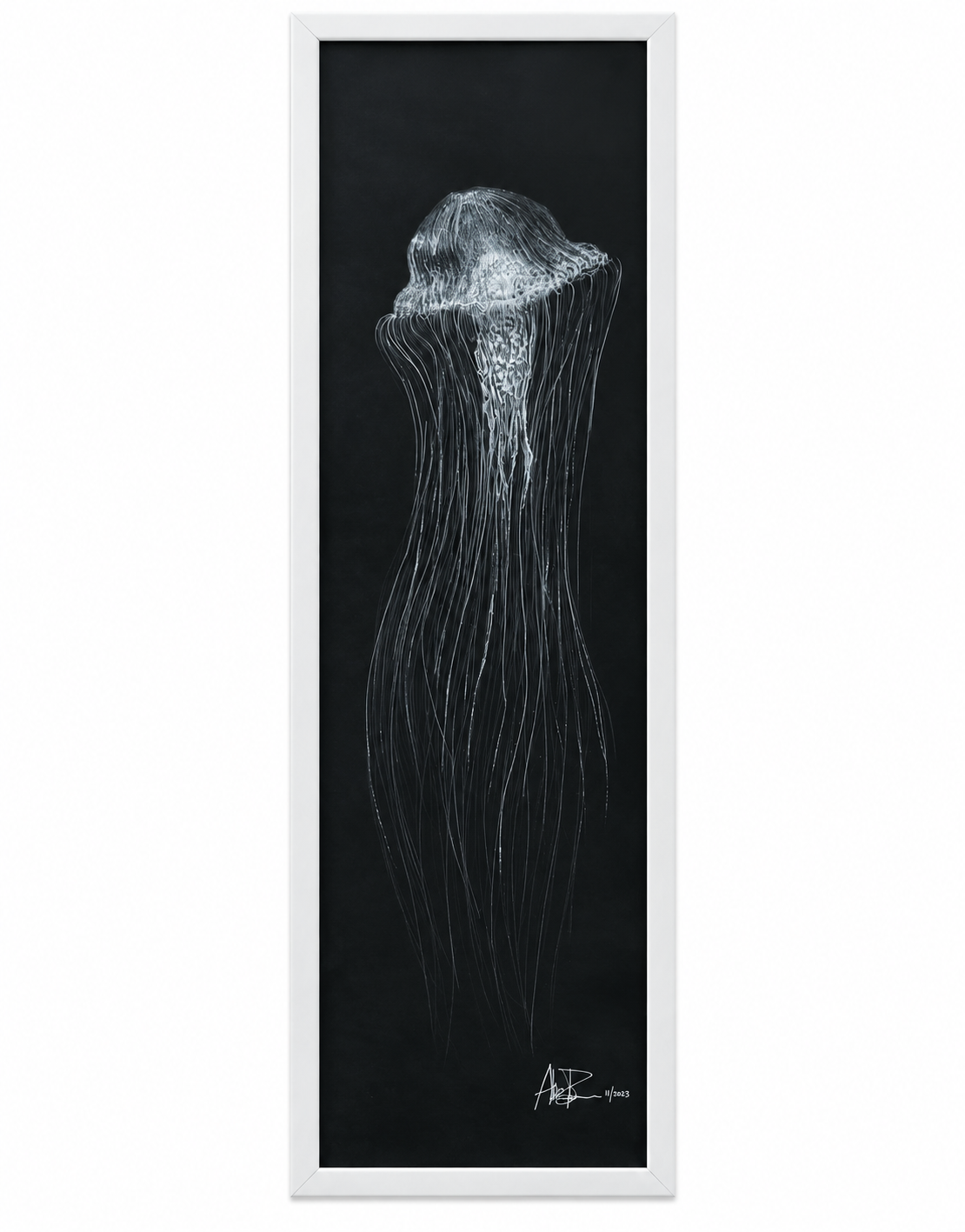 Jelly